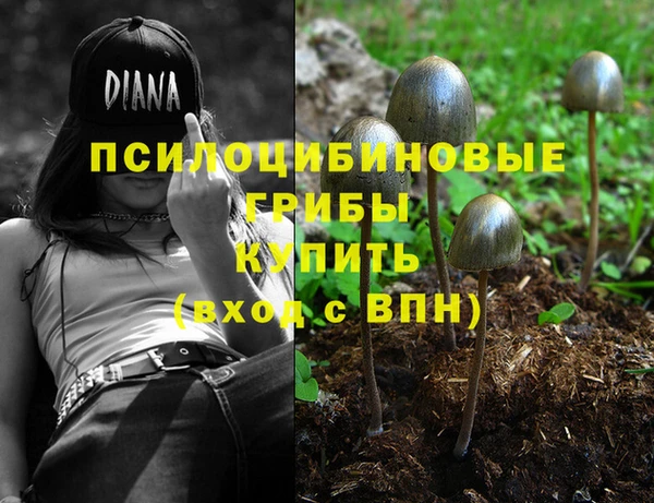 ешки Алексеевка