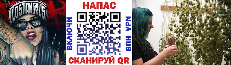 Шишки марихуана тримм  купить наркоту  Ленинск 